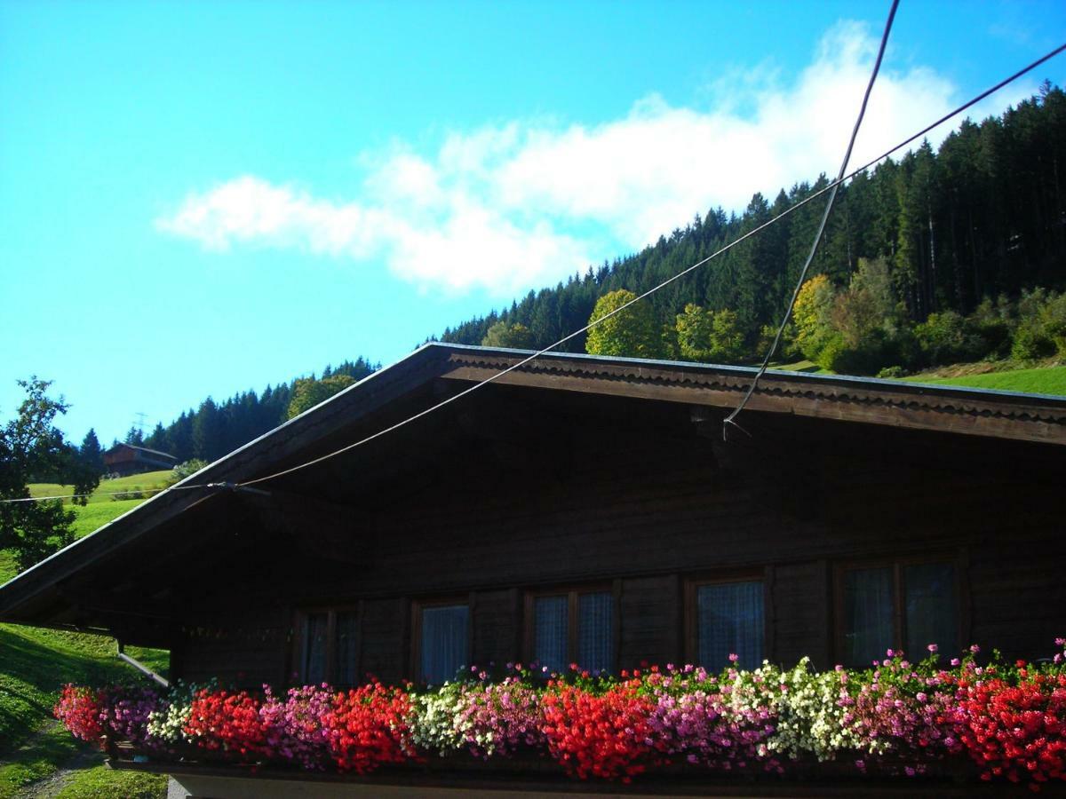 Ferienwohnung Muhlbauer Wald im Pinzgau Extérieur photo