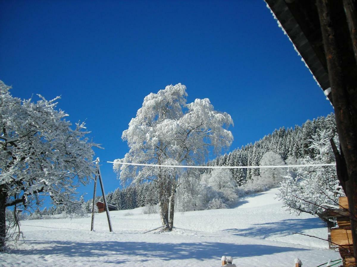 Ferienwohnung Muhlbauer Wald im Pinzgau Extérieur photo